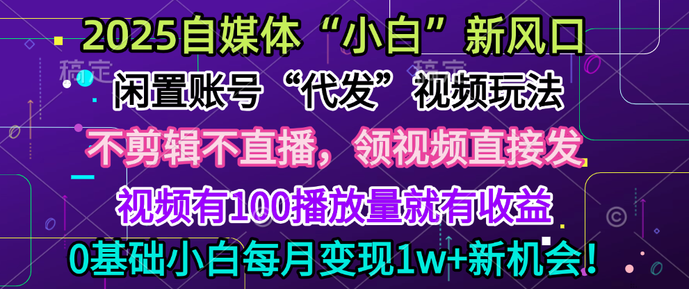 2025每月躺赚5w+新机会，闲置视频账号一键代发玩法，0粉不实名不剪辑，领了视频直接发，0基础小白也能日入300+-优优资源网