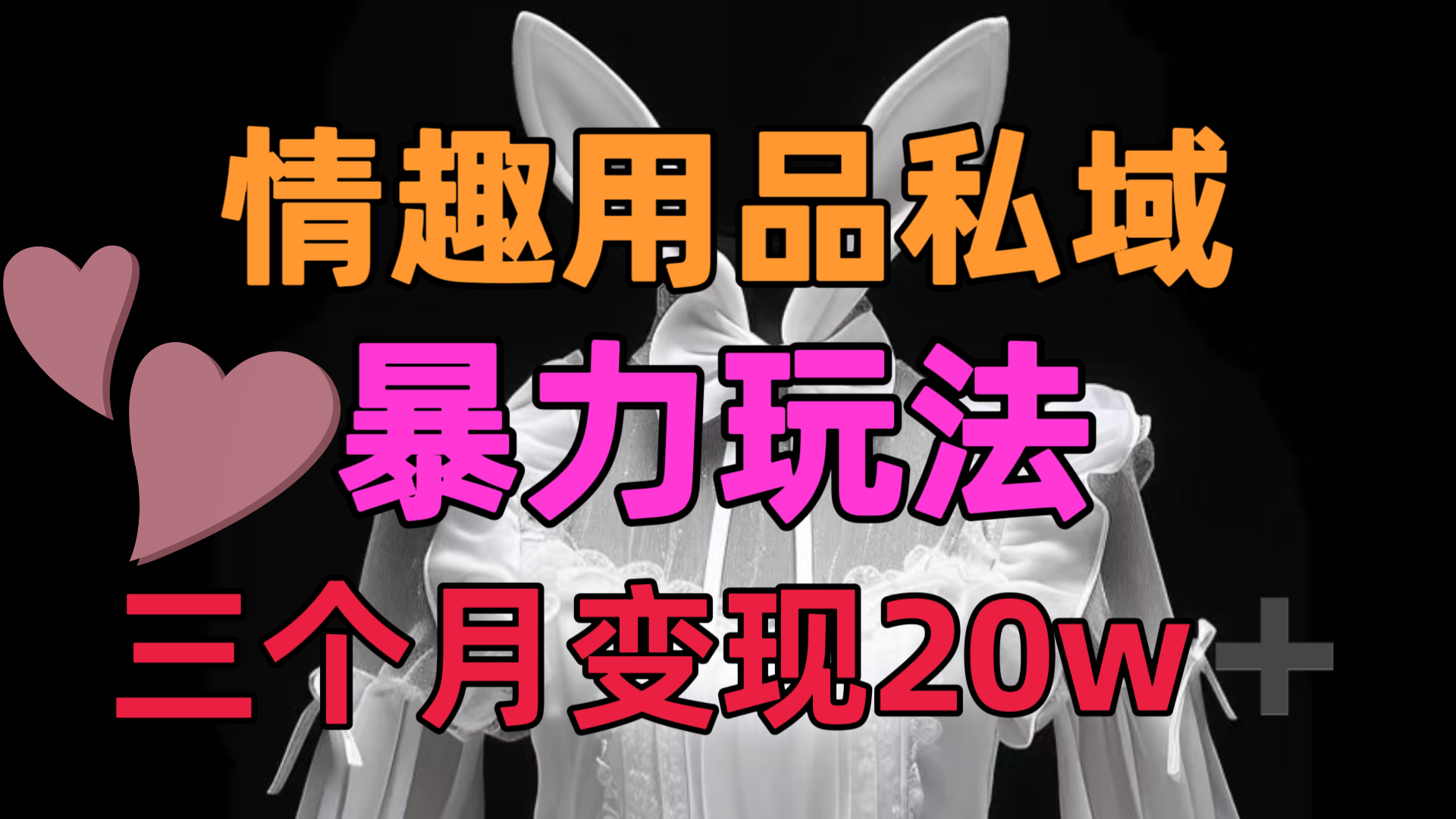 情趣用品私域，25年最新暴力玩法，三个月变现20w➕-优优资源网