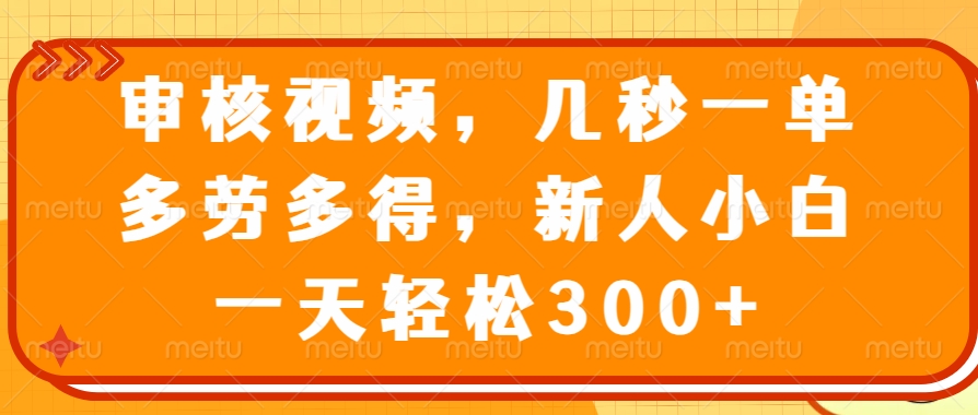 审核视频项目，几秒一单，多劳多得，新人小白一天轻松300+-优优资源网