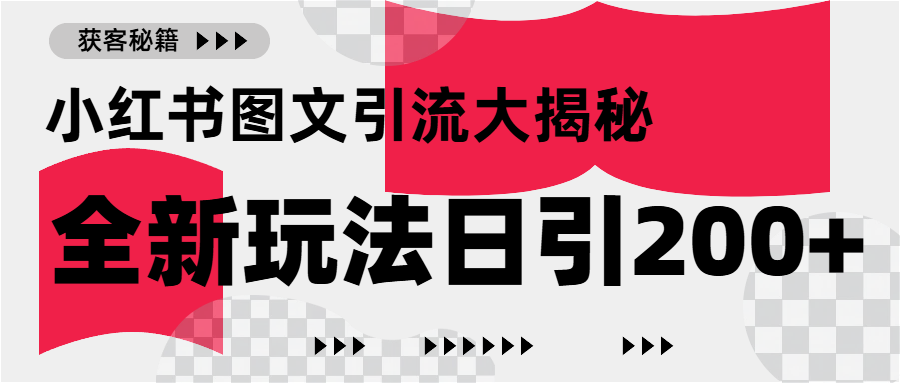 小红书图文引流，只需一张图片即可撬动百万流量，日引200+创业粉-优优资源网