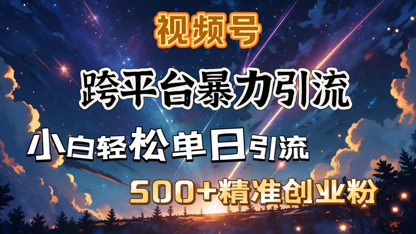 视频号跨平台暴力引流，小白轻松单日引流500＋精准创业粉-优优资源网