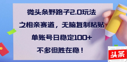 全网首发微头条野路子2.0玩法之相亲赛道，无脑搬砖复制粘贴，单账号日稳定300+保姆级教程-优优资源网