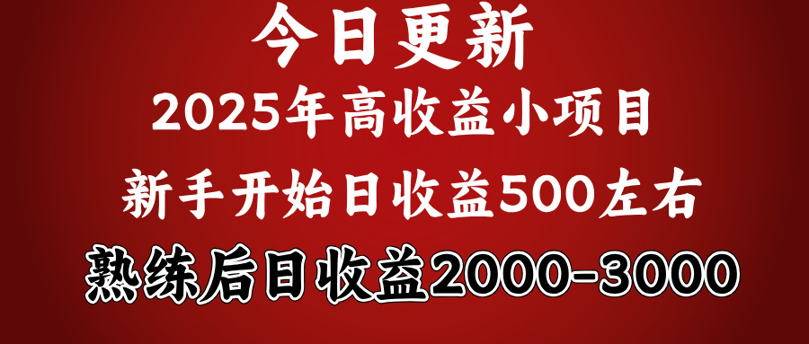 2025开年好项目，新手日收益500+ 熟练掌握后，日收益平均2000多-优优资源网
