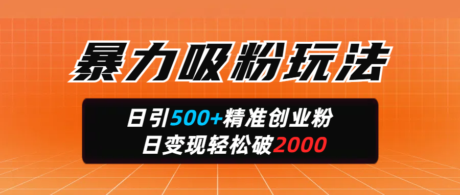 暴力吸粉玩法，日引500+精准创业粉，日变现轻松破2000-优优资源网