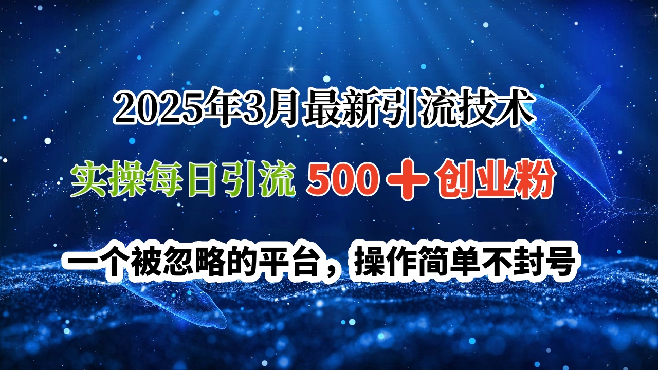 2025年3月最新引流技术，实操每日引流500➕创业粉，一个被忽略的平台，操作简单不封号-优优资源网