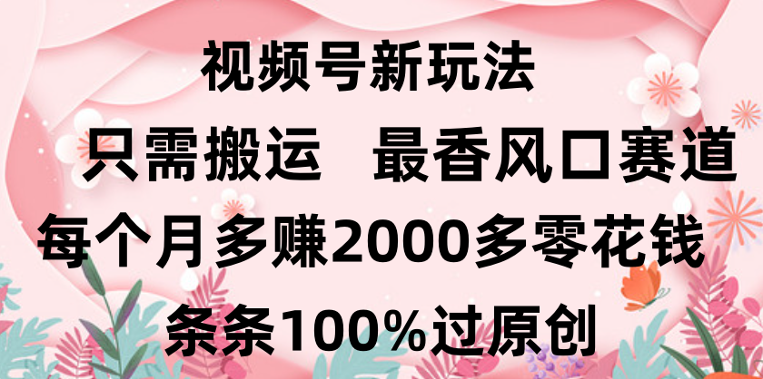 日入2000+，条条100%过原创，视频号最香风口赛道，小白轻松上手-优优资源网