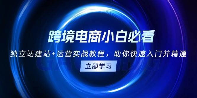 跨境电商小白必看！独立站建站+运营实战教程，助你快速入门并精通-优优资源网
