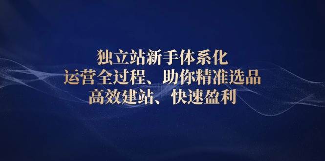 独立站新手体系化 运营全过程，助你精准选品、高效建站、快速盈利-优优资源网