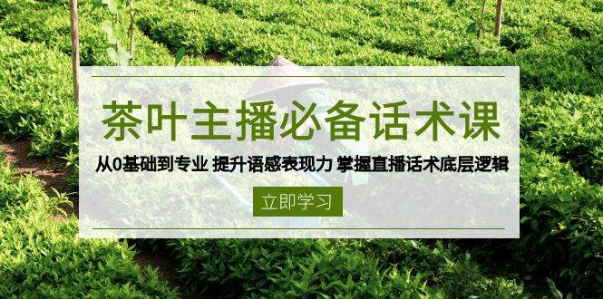 茶叶主播必备话术课 从0基础到专业 提升语感表现力 掌握直播话术底层逻辑-优优资源网