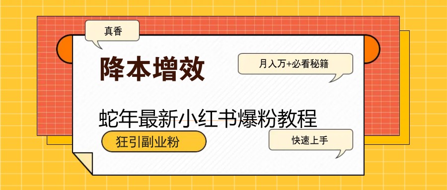蛇年最新小红书爆粉教程，狂引副业粉，月入万+必看-优优资源网