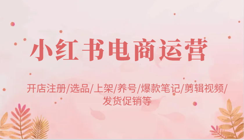 小红书电商运营：开店注册/选品/上架/养号/爆款笔记/剪辑视频/发货促销等-优优资源网