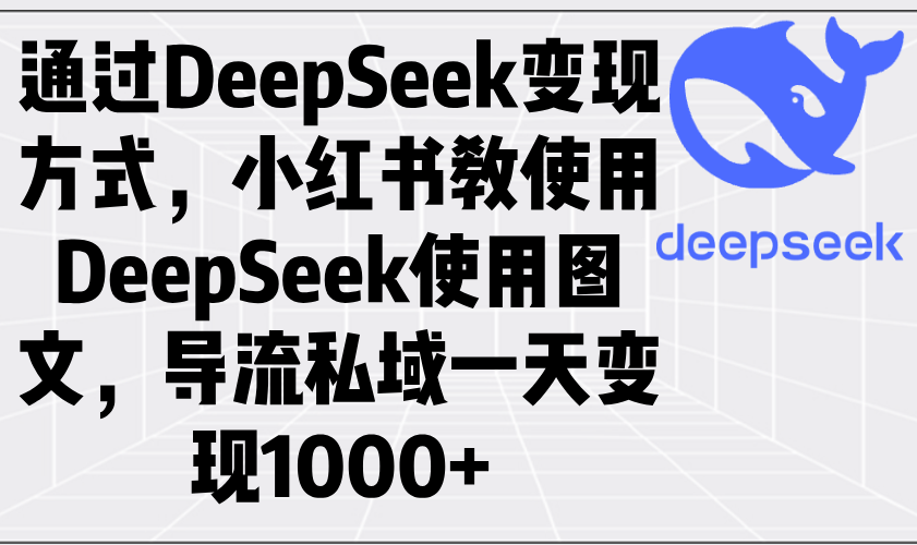 通过DeepSeek变现方式，小红书教使用DeepSeek图文，导流私域一天变现1000+-优优资源网