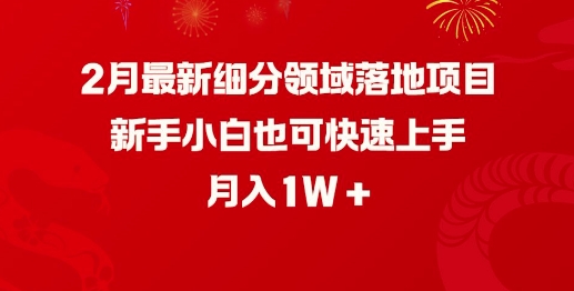 2月最新细分领域落地项目，新手小白也可快速上手，月入1W-优优资源网