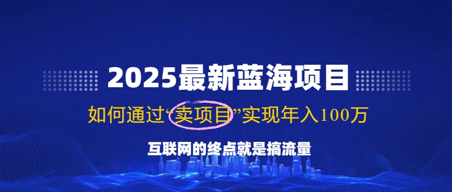 2025最新蓝海项目，零门槛轻松复制，月入10万+，新手也能操作！-优优资源网