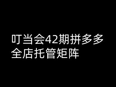 叮当会拼多多打爆班原创高阶技术第42期，拼多多全店托管矩阵-优优资源网