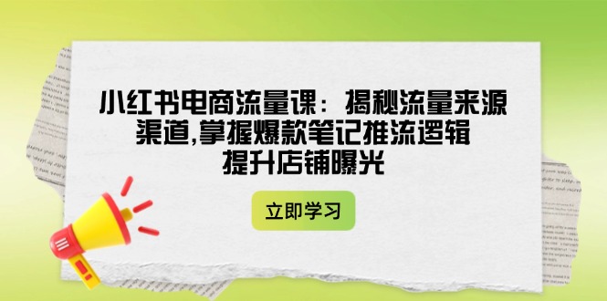 小红书电商流量课：揭秘流量来源渠道,掌握爆款笔记推流逻辑,提升店铺曝光-优优资源网