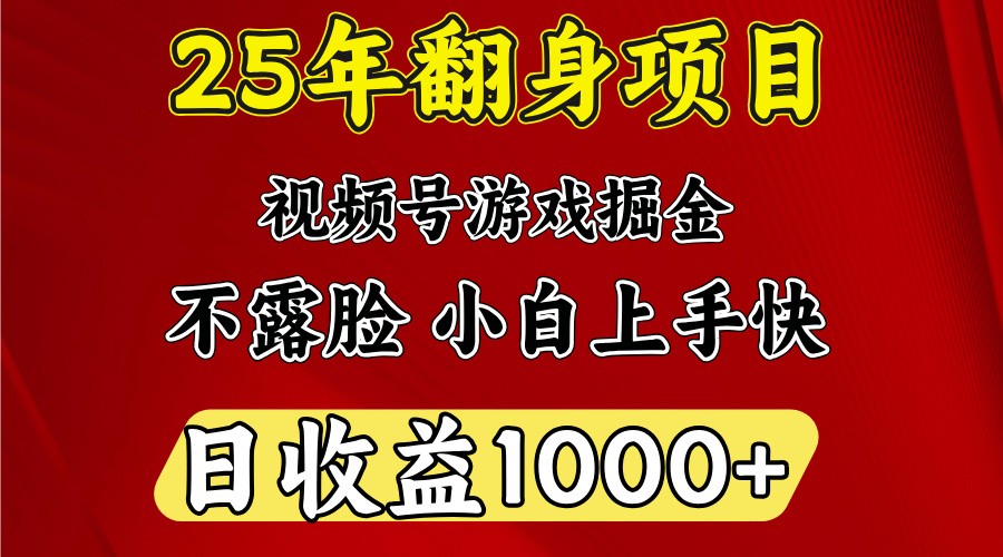 一天收益1000+ 25年开年落地好项目-优优资源网