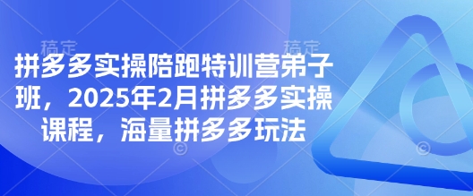 拼多多实操陪跑特训营弟子班，2025年2月拼多多实操课程，海量拼多多玩法-优优资源网