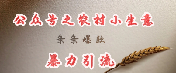 deepseek写农村小项目，条条爆款，暴力引流-优优资源网
