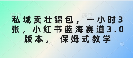 私域卖壮锦包，一小时3张，小红书蓝海赛道3.0版本， 保姆式教学-优优资源网