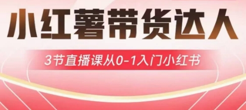 小红薯达人带货启航计划，3节直播课从0-1入门小红书-优优资源网