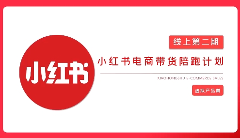 2025小红书虚拟电商实战课，从0到1打造无货源店铺，AI+爆款笔记轻松变现-优优资源网
