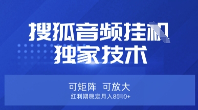 【搜狐音频挂G】独家技术，可矩阵可放大，红利期稳定月入8k-优优资源网