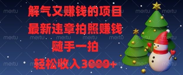 解气又挣钱的项目，最新违章拍照挣钱，随手一拍，轻松收入数张-优优资源网