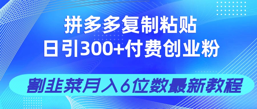 拼多多复制粘贴日引300+付费创业粉，割韭菜月入6位数最新教程！-优优资源网