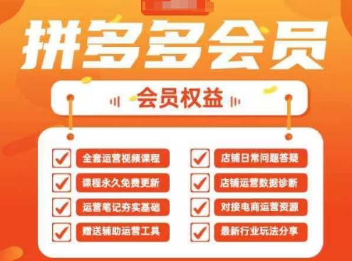 2025拼多多运营实战课，40节全流程教学，覆盖拼多多运营全链路-优优资源网