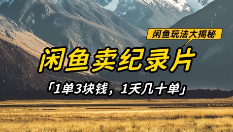 闲鱼卖纪录片1单3块钱，1天几十单，项目稳定有潜力-优优资源网