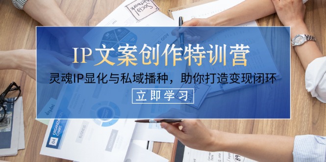 IP文案创作特训营，灵魂IP显化与私域播种，助你打造变现闭环（14节课）-优优资源网