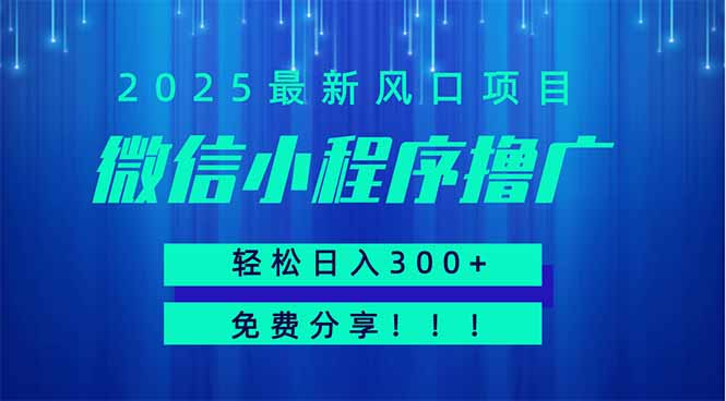 微信小程序撸广，最新风口项目，日入300+ 免费分享 可批量操作 小白可…-优优资源网