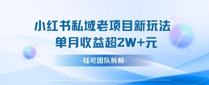 小红书私域项目新玩法，单月变现过W+-优优资源网
