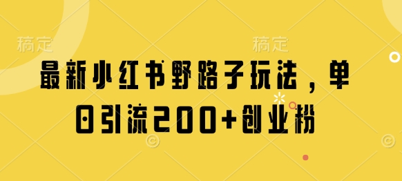 最新小红书野路子玩法，单日引流200+创业粉-优优资源网