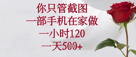 你只管截图，一部手机在家做，苹果安卓都可以，一小时120，一天5张+-优优资源网