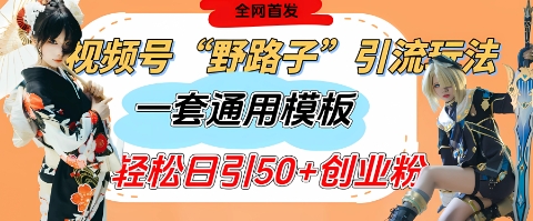 视频号“野路子”玩法，评论区疯狂截流，一套模板单日单号引流50+创业粉-优优资源网