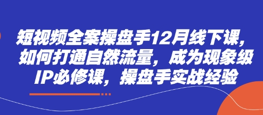 短视频全案操盘手12月线下课，如何打通自然流量，成为现象级IP必修课，操盘手实战经验-优优资源网