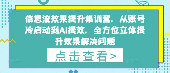 信息流效果提升集训营，从账号冷启动到AI提效，全方位立体提升效果解决问题-优优资源网