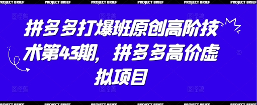 拼多多打爆班原创高阶技术第43期，拼多多高价虚拟项目-优优资源网