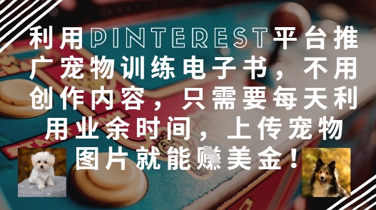 利用Pinterest平台推广宠物训练电子书，不用创作内容，只需要每天利用业余时间，上传宠物图片就能挣美金!-优优资源网