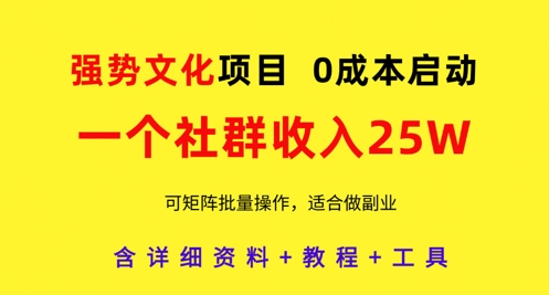 强势文化项目，一个社群收入25个W，0成本启动，可矩阵批量操作，原创详细实操教程-优优资源网