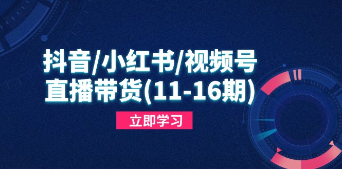 抖音/小红书/视频号/直播带货（11-16期），快速掌握平台规则，打造爆款内容-优优资源网