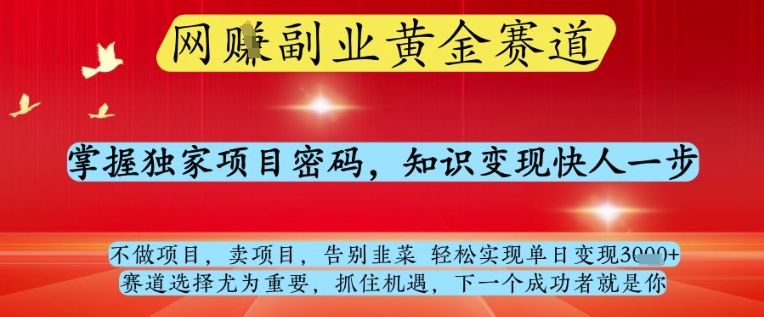 网创副业黄全赛道，掌握独家项目密码，知识变现快人一步，告别韭菜轻松实现单日变现1k+-优优资源网