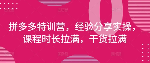拼多多特训营，经验分享实操，课程时长拉满，干货拉满(更新25年4月)-优优资源网