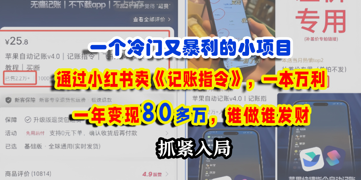 一个冷门又暴利的小项目，通过小红书卖《记账指令》，一本万利，一年变现80多万，谁做谁发财-优优资源网
