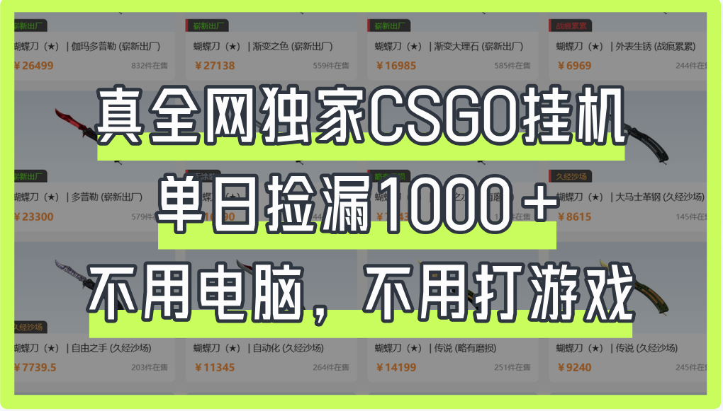 真全网独家CSGO挂机，单日捡漏1000+-优优资源网