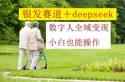 银发赛道+deepseek数字人全域变现，小白也能操作-优优资源网