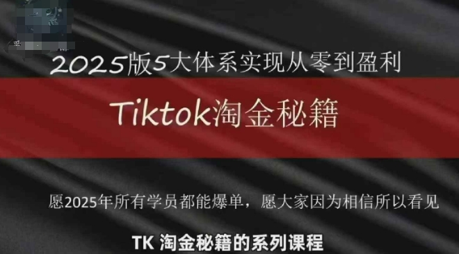 TikTok跨境2025淘金秘籍，​2025TikTok从0到盈利变现-优优资源网