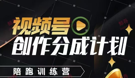 视频号创作分成计划陪跑训练营，手把手教会你如何制作视频，细水长流型项目-优优资源网